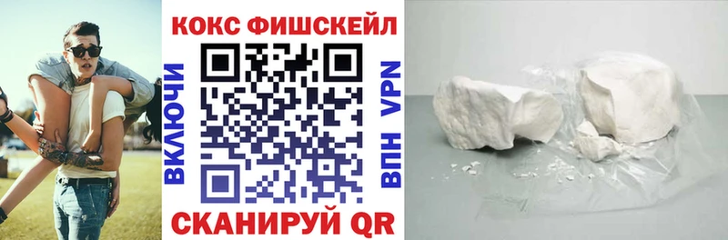 купить закладку  Елизаветинская  COCAIN FishScale 