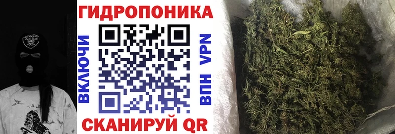 хочу наркоту  Елизаветинская  Марихуана AK-47 